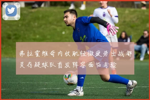弗拉霍维奇内收肌轻微疲劳出战都灵存疑球队首发阵容面临考验